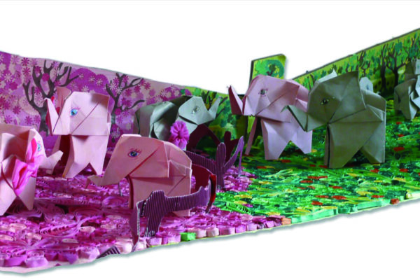 Actividad: La cartera de Aguasclaras